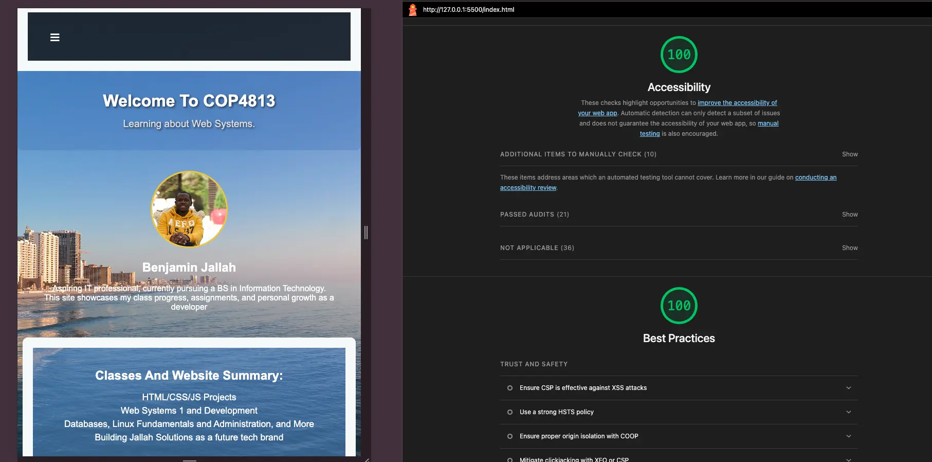 Accessibility score breakdown