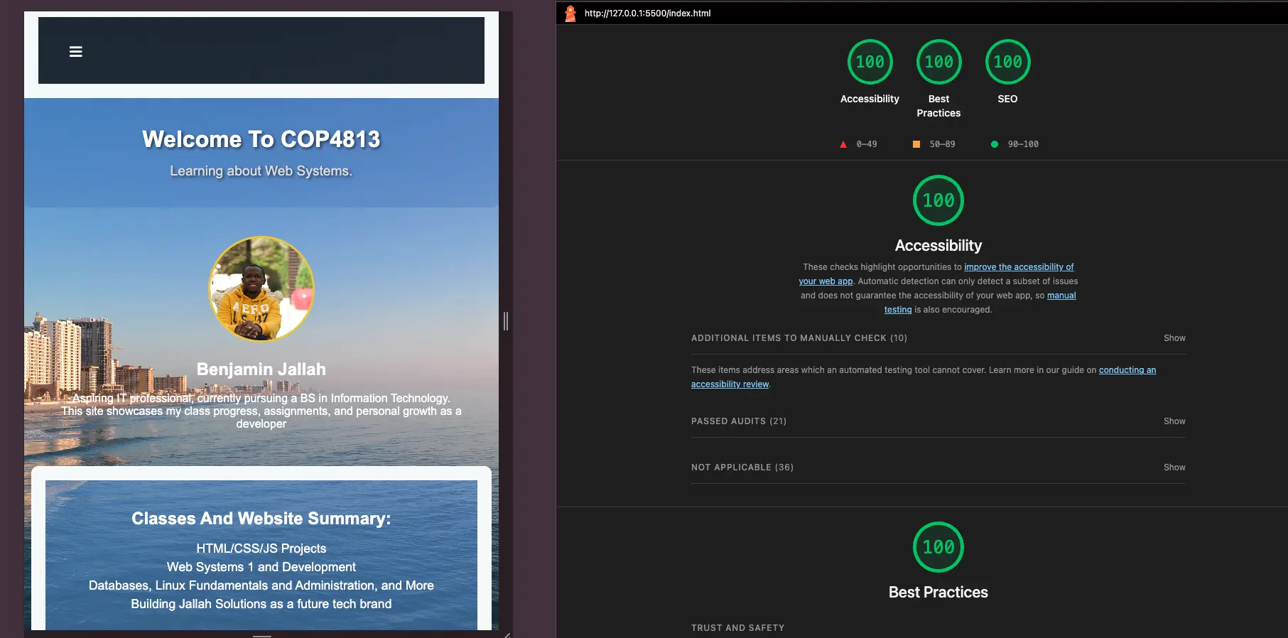 Lighthouse overall analysis results